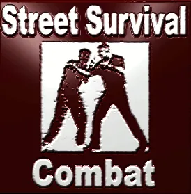 Street Survival Combat bild