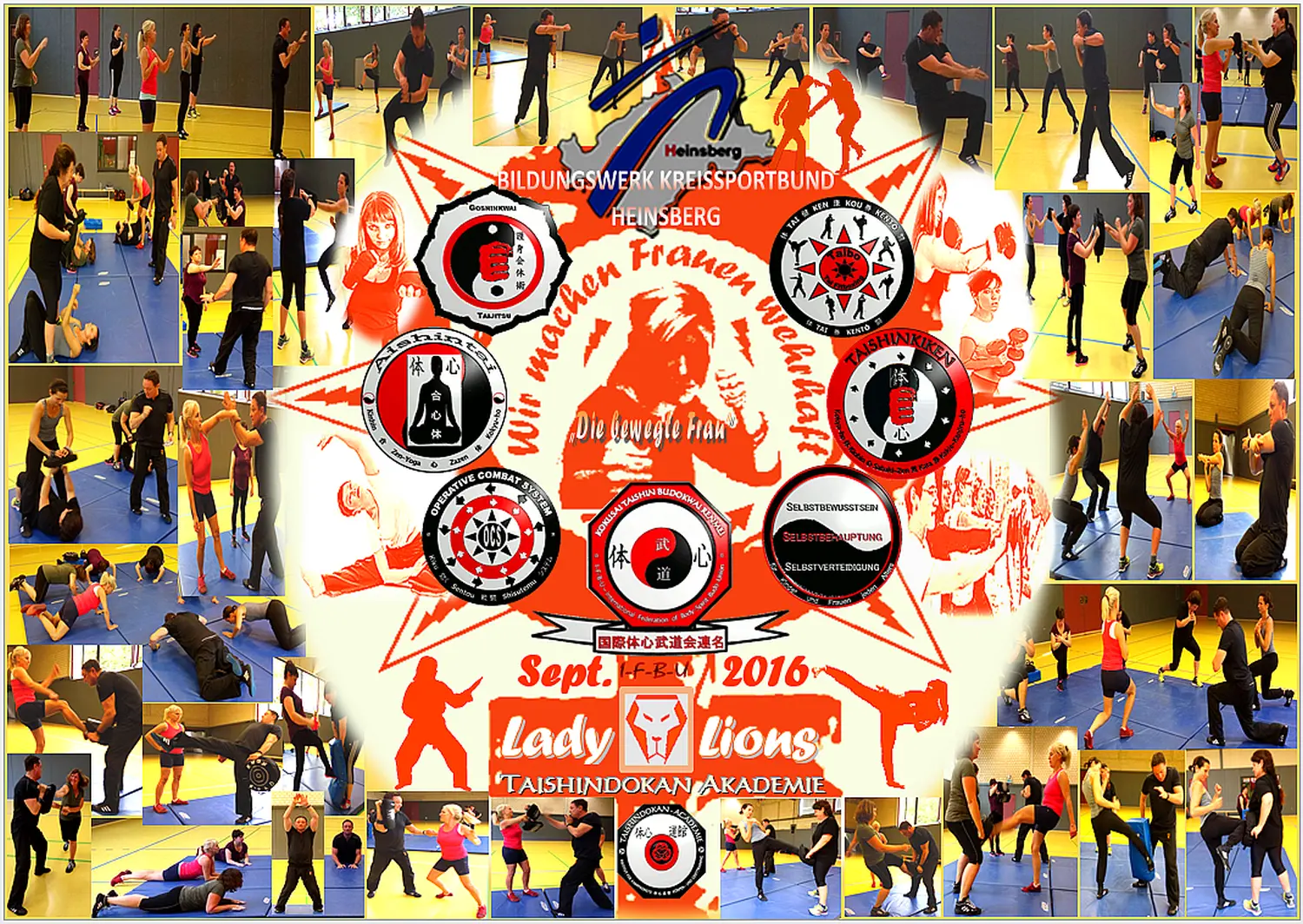 FrauenSB SV LadyLions KSB HS Sept2016 Collage