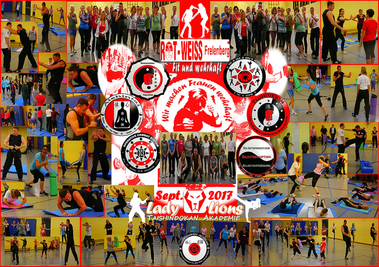 FrauenSB SV LadyLions RotWeissFrelenberg Sept2017 Collage