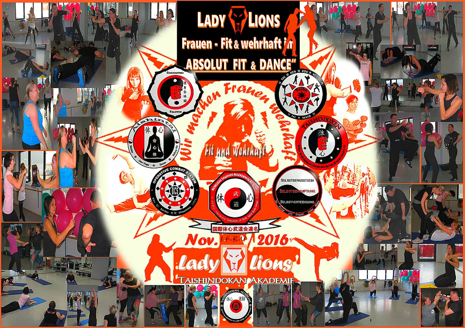FrauenSB SV LadyLions AbsolutFitDance Nov2016 Collage2